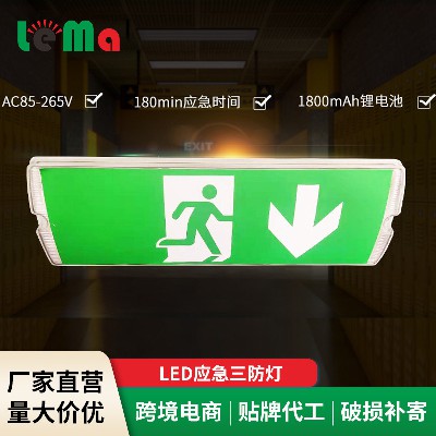 厂家直供消防应急灯具商场超市LED应急三防灯学校办公场所指示灯