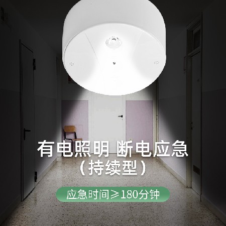 LED楼梯走廊4寸明装一体化吸顶筒灯消防通道停电多功能照明应急灯