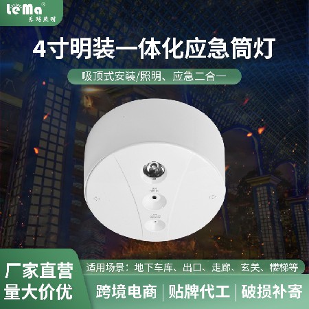 LED Stairway Corridor 4-inch Surface Mounted Integrated Ceiling Downlight Fire Channel Power Failure Multifunctional Lighting Emergency Light