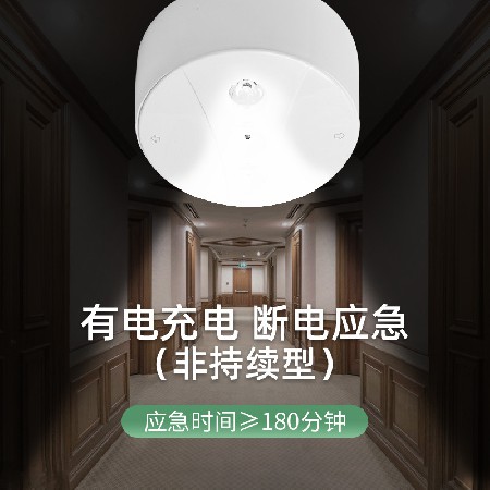 LED楼梯走廊4寸明装一体化吸顶筒灯消防通道停电多功能照明应急灯