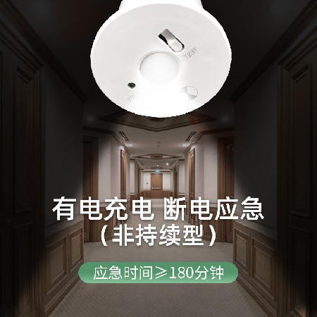 Factory direct supply of 2.5-inch LED emergency downlight, staircase, corridor, porch, balcony, embedded 2W emergency light wholesale