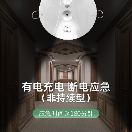 跨境专供4寸嵌入式应急筒灯  吸顶式应急筒灯 二合一应急筒灯射灯