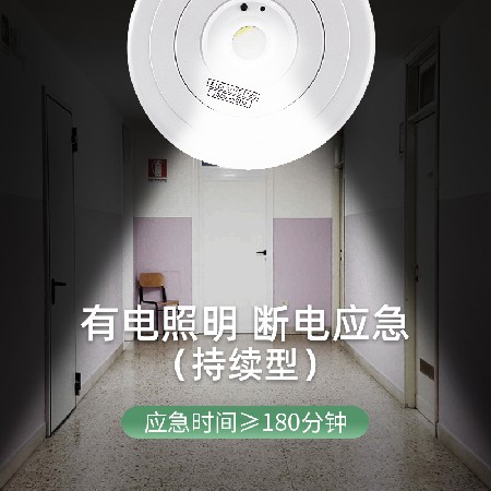 LED embedded emergency light, high brightness corridor ceiling, down light, 2W power outage, emergency lighting, IP40 wholesale