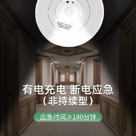 led嵌入式应急灯高亮楼道天花筒灯射灯2W停电紧急照明IP40批发