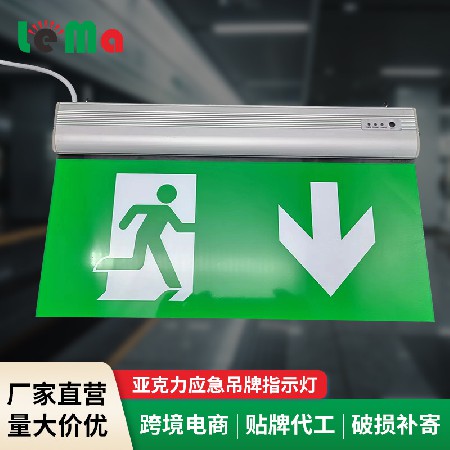 LED Acrylic Emergency Hanger Indicator Light Shopping Mall School Fire Evacuation Channel Toilet Sign Light Wholesale