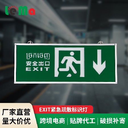 Foreign trade EXIT emergency evacuation indicator light, corridor safety exit light, fire emergency indicator light