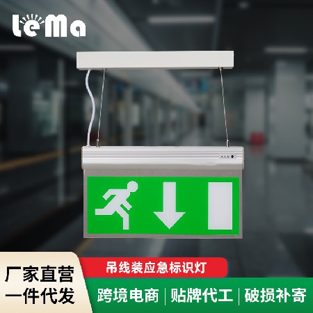 Acrylic safety exit indicator light, LED suspended wire emergency sign light, emergency hanging sign light wholesale