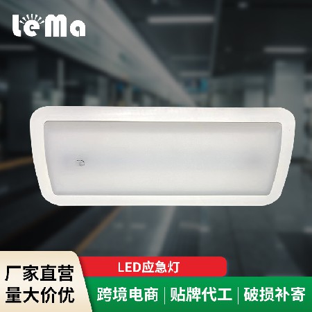 LED emergency lights, street mounted emergency lighting, embedded emergency lighting wholesale